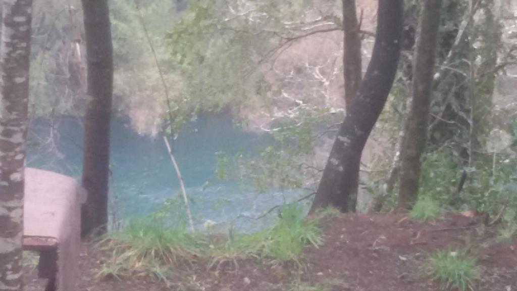 Cabanas Portal Del Rio Villarrica Esterno foto